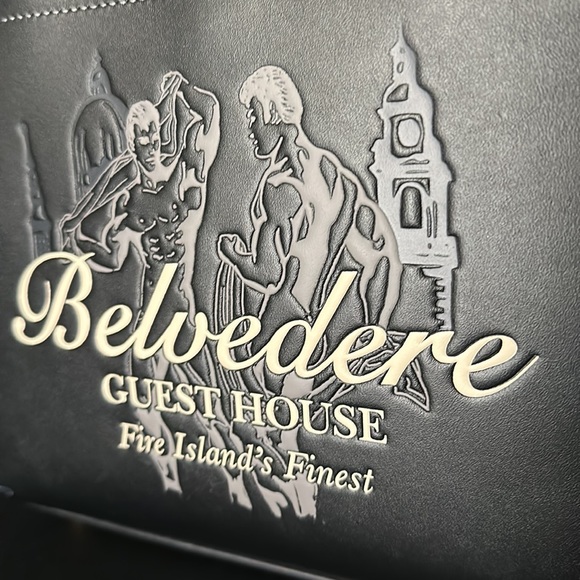 NWT Coach Belvedere Cashin Carry 22 Fire Island Graphic Leather Purse Handbag - Picture 10 of 15